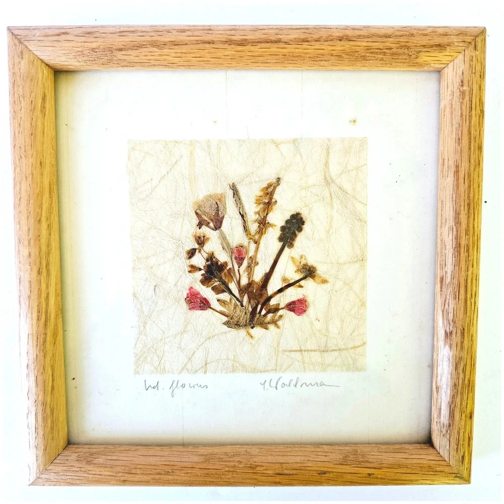 Vintage Framed Pressed Flower on Handmade Paper Picture Signed 7